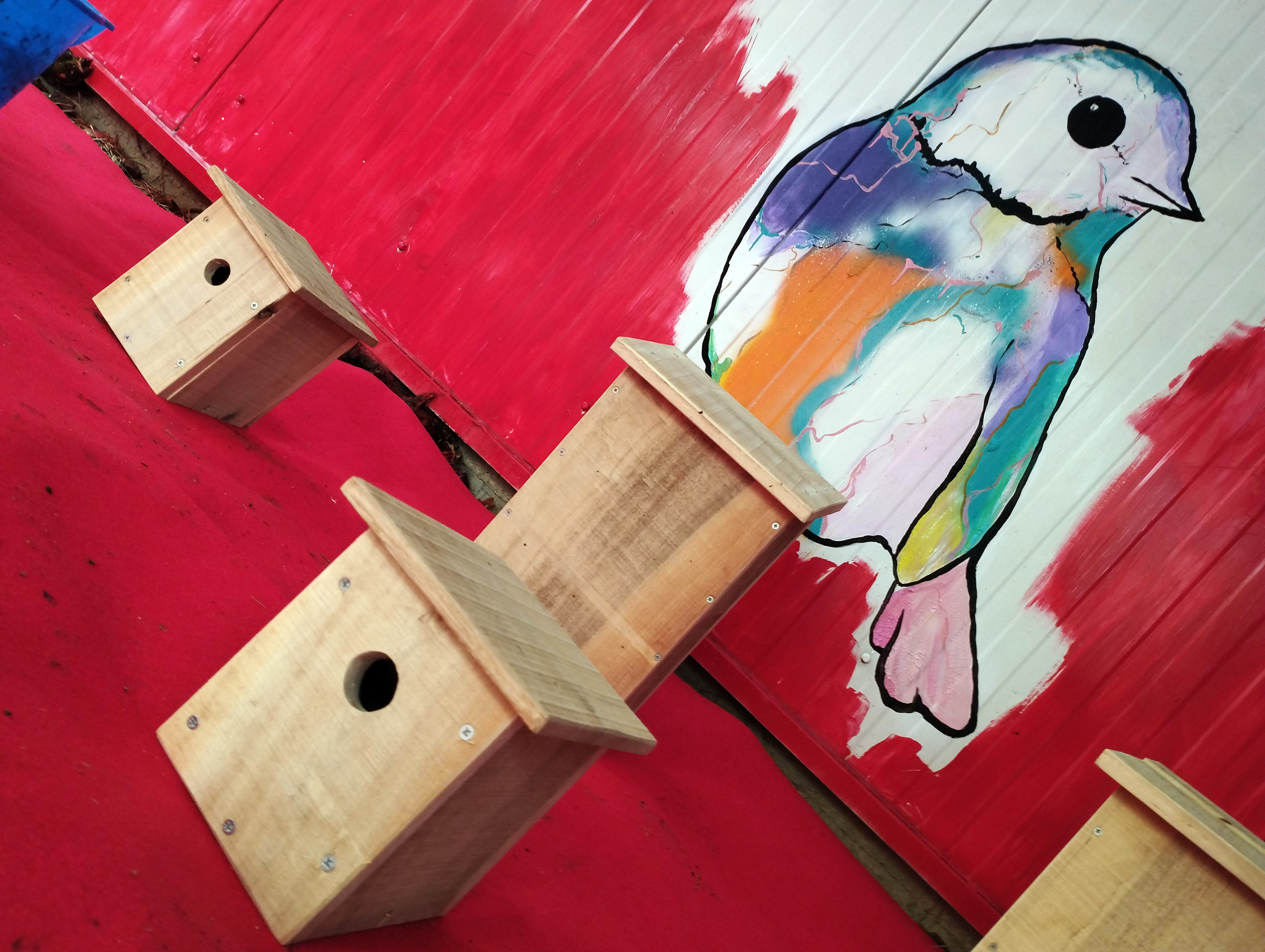 Nichoirs et fresque oiseaux Cobo