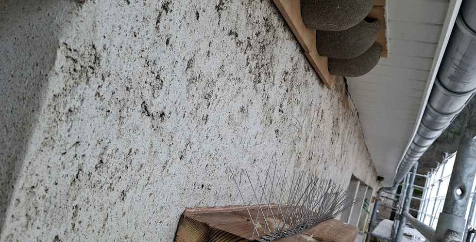 36 nids pour les hirondelles